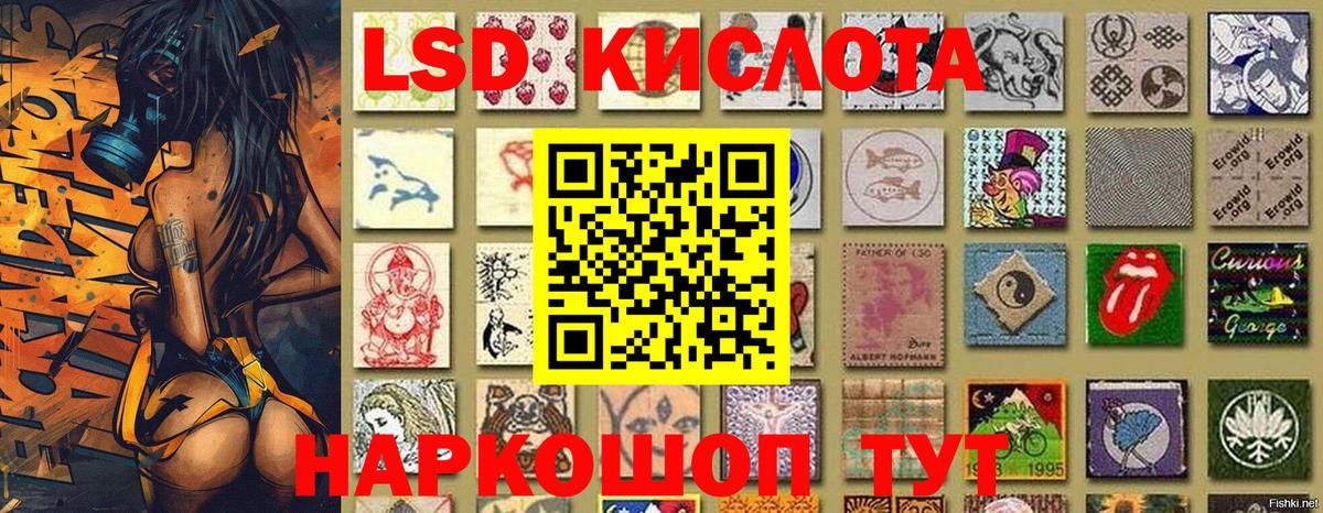 Наркотические марки 1500мкг  Наркотические марки 1500мкг  Красный Сулин  Наркотические марки  Вход с VPN 