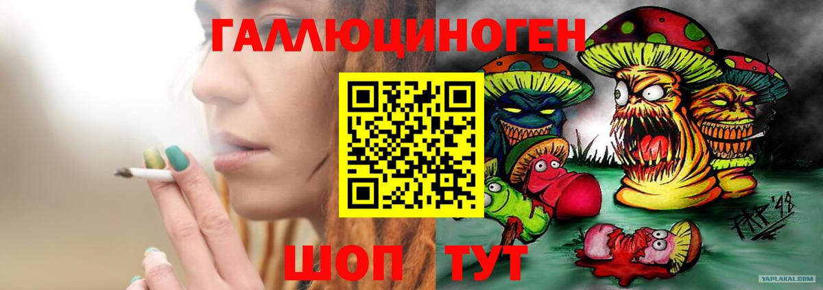 Галлюциногенные грибы прущие грибы  Вход с VPN  Галлюциногенные грибы Psilocybe  Красный Сулин 